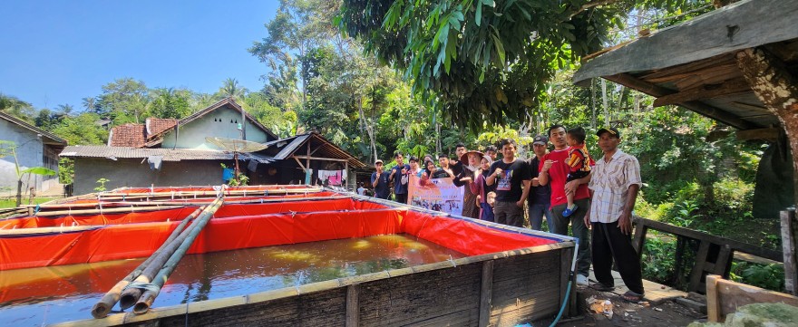 Kegiatan PIK-R yang Dilaksanakan di Tempat Budidaya Ikan Lele Desa Cireundeu
